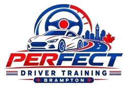 Perfect Driver Training logo