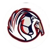 Elite Soccer Training logo